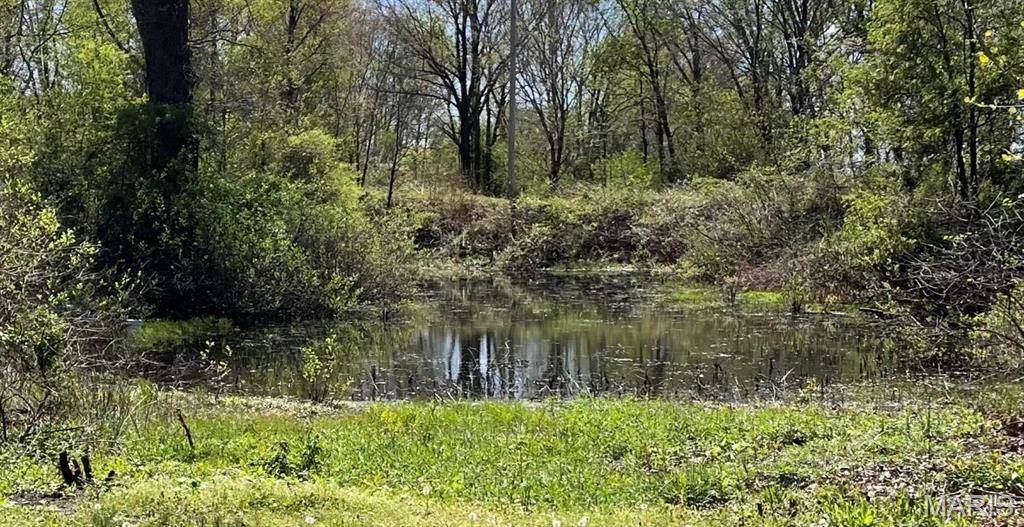 26521 Old Railroad ST, Tamms, IL 62988