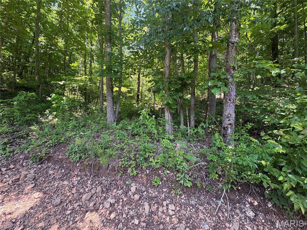 0 County Road 404, Ellington, MO 63638