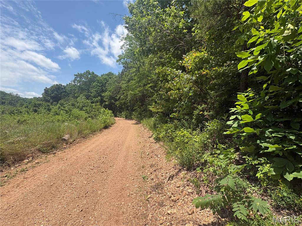 0 County Road 404, Ellington, MO 63638