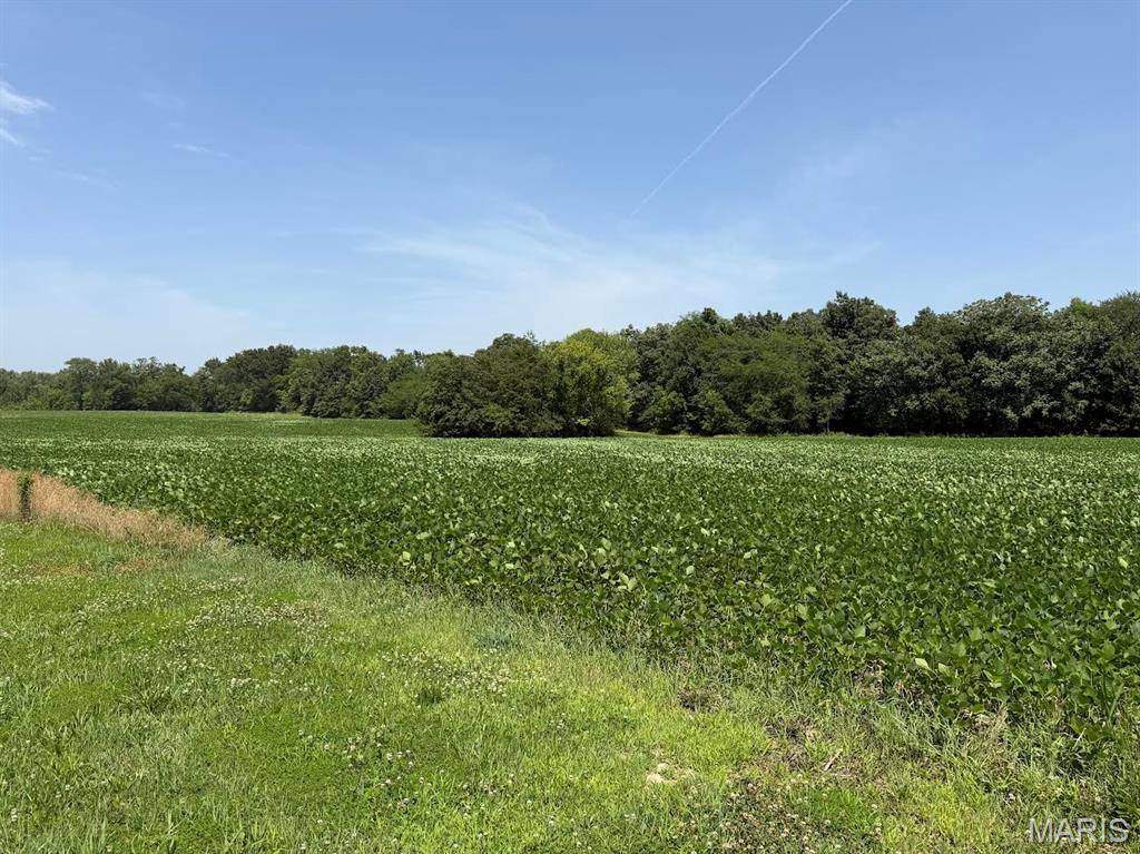 805 Wedgewood LN, Trenton, IL 62293