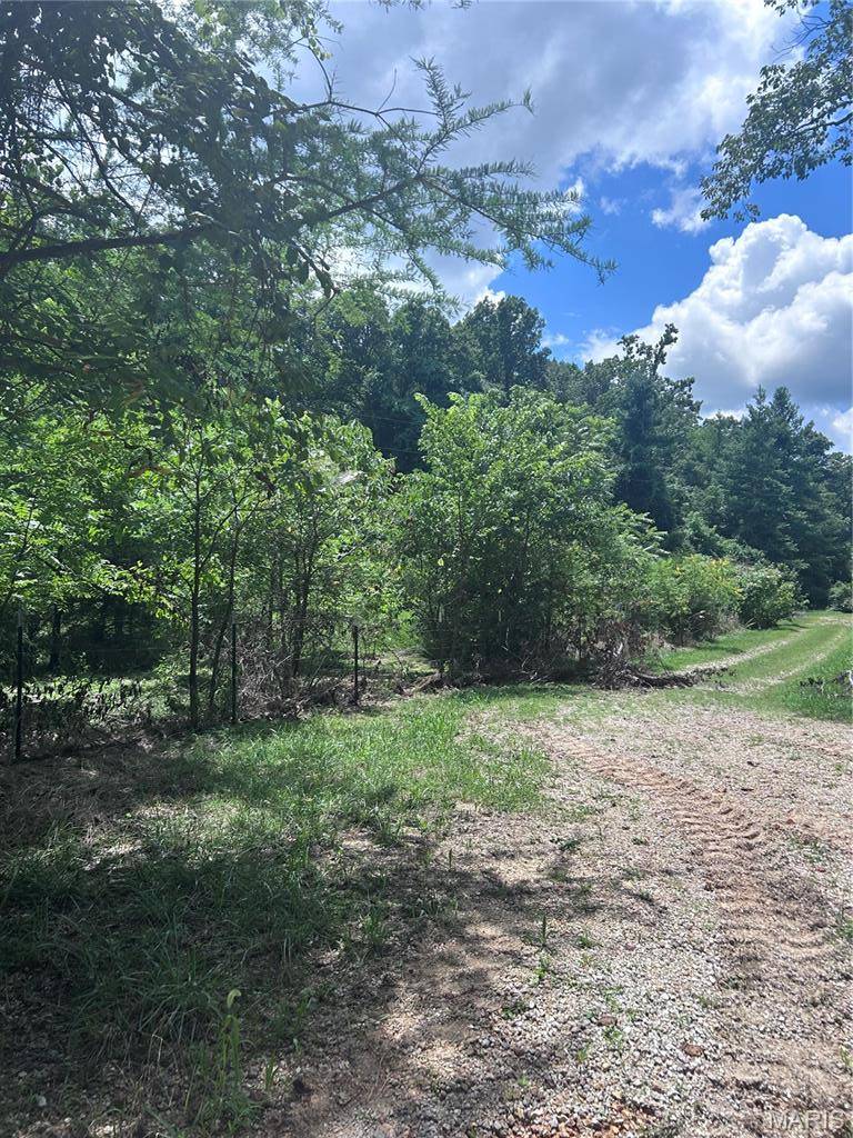99 Arlie Barr RD, Viburnum, MO 65566