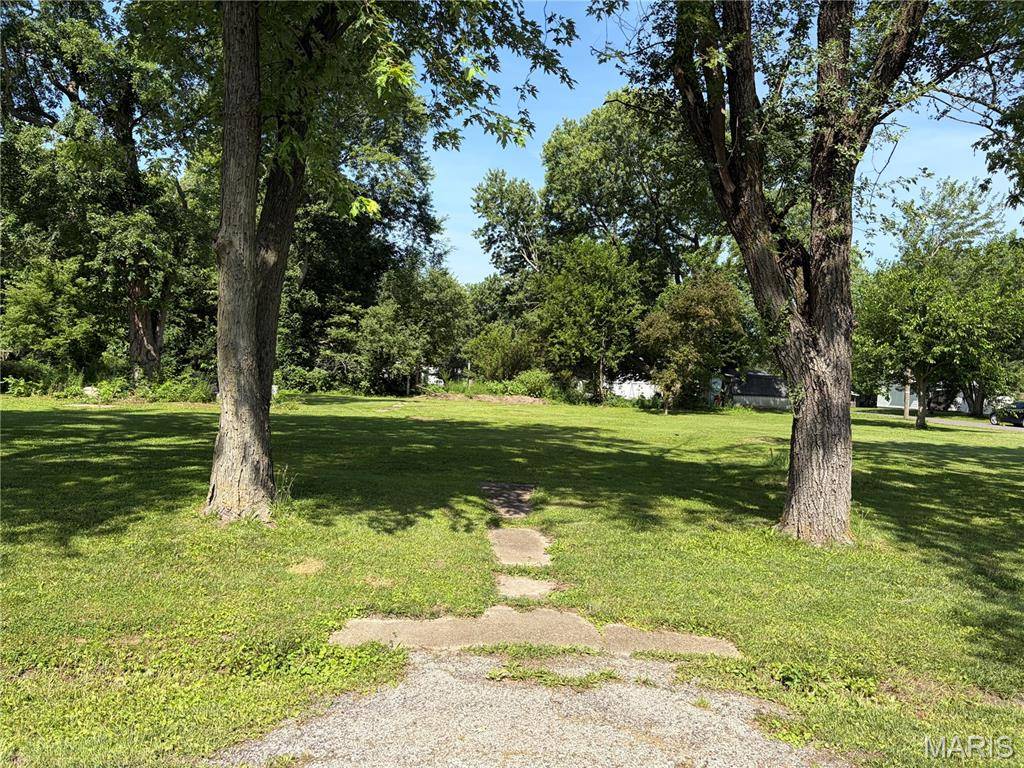 1005 S Montgomery AVE, Litchfield, IL 62056