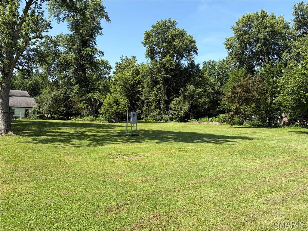 1005 S Montgomery AVE, Litchfield, IL 62056
