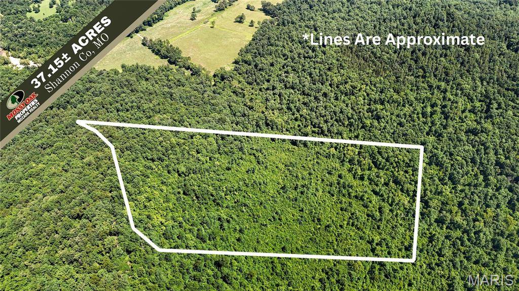 TBD Antler Ridge Subdivision, Eminence, MO 63629