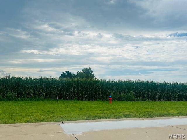 Lot 6 Station Crossing, Waterloo, IL 62298