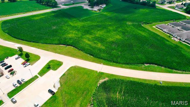 Lot 7 Station Crossing, Waterloo, IL 62298