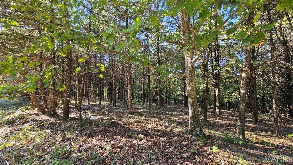 2000 Heather DR, Lake Sherwood, MO 63357