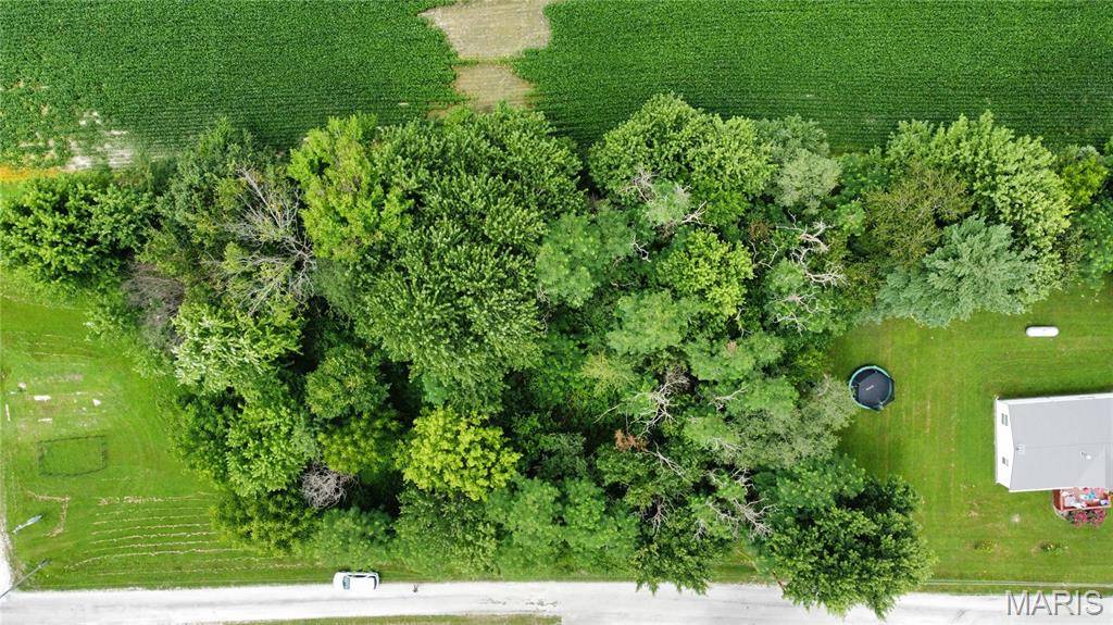 TBD West Fellin DR, Mount Olive, IL 62069
