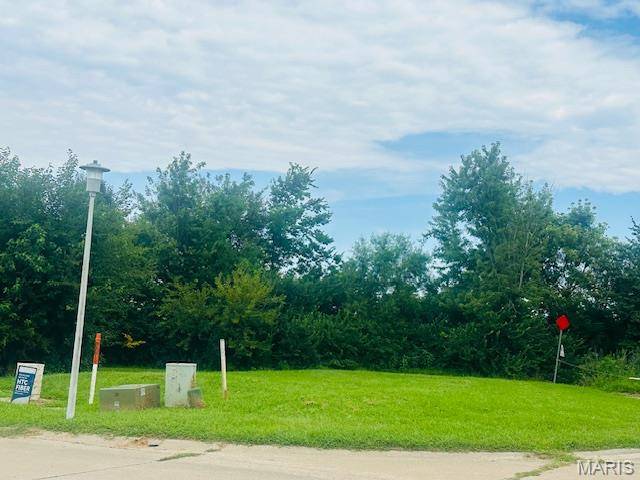 Lot 15 Columbia Ave, Waterloo, IL 62298