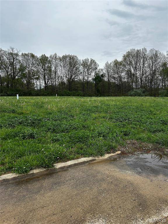 150 Starlight DR, Belleville, IL 62226