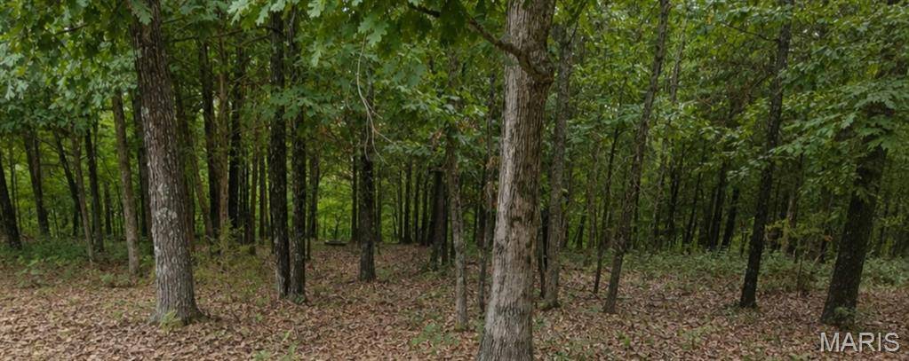2346 W Squire RD, Marthasville, MO 63357