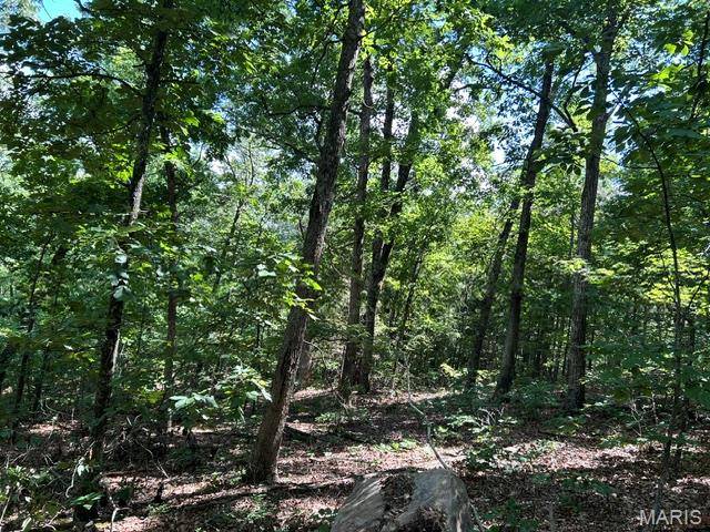 1 Forest Rd Banner-Belleview RD, Belleview, MO 63623