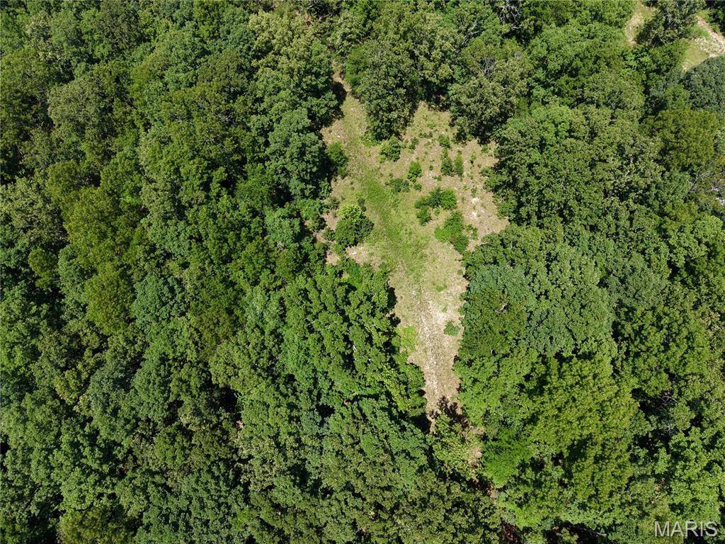 000 Highway 172, Williamsville, MO 63957