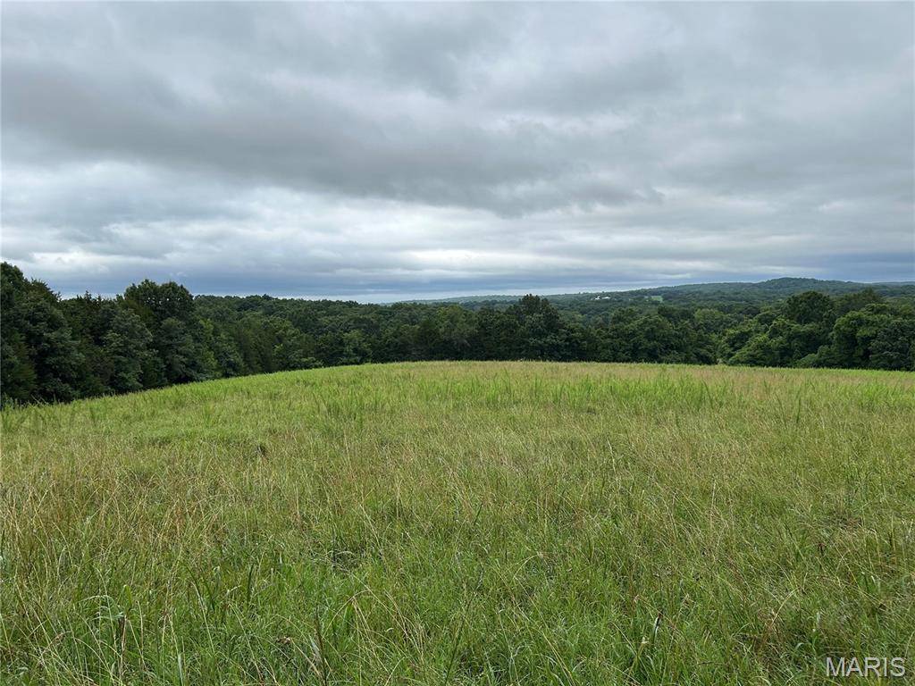 0 Allen RD, Hillsboro, MO 63050