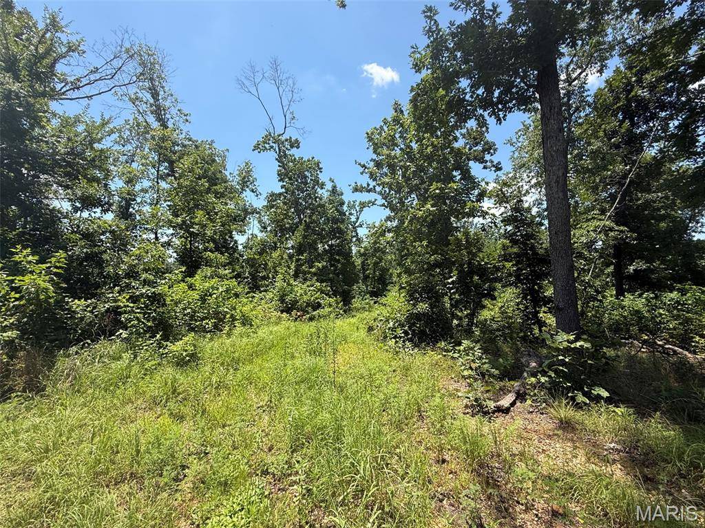 0 BCR 840, Marquand, MO 63655