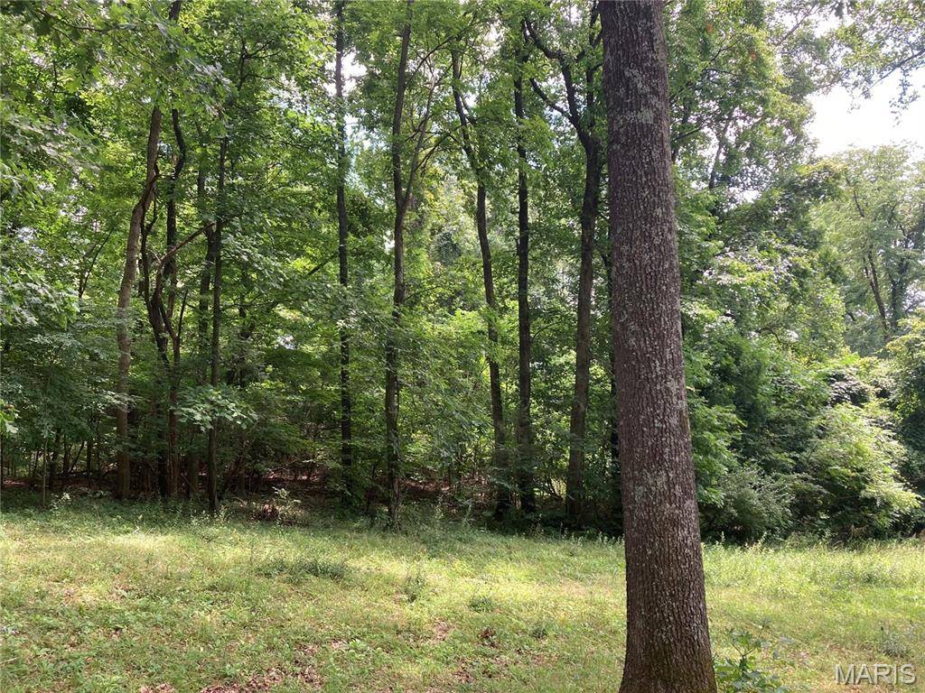 0 Scenic View LN, Cape Girardeau, MO 63701
