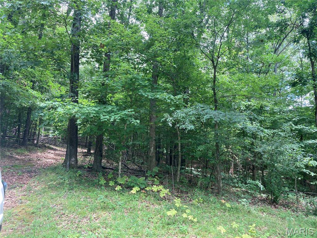 0 Scenic View LN, Cape Girardeau, MO 63701