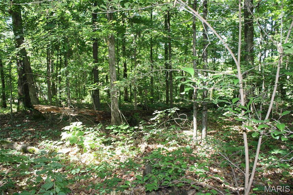 00 Lakview Drive, Wappapello, MO 63966