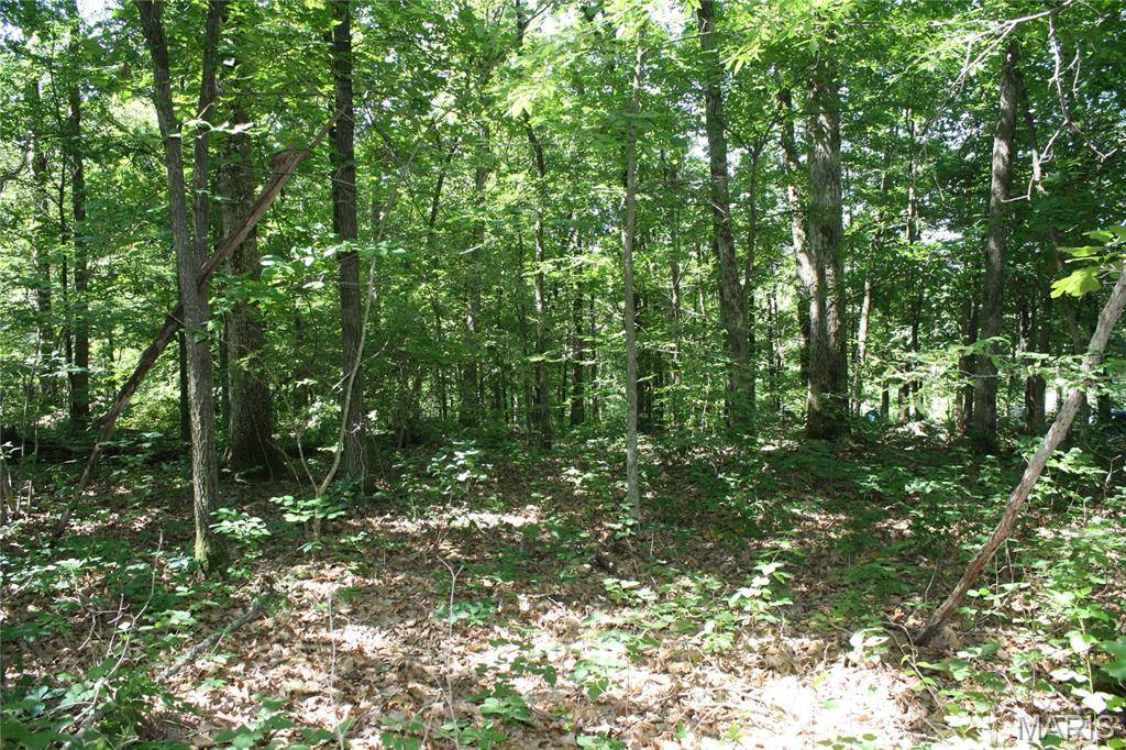 00 Lakview Drive, Wappapello, MO 63966