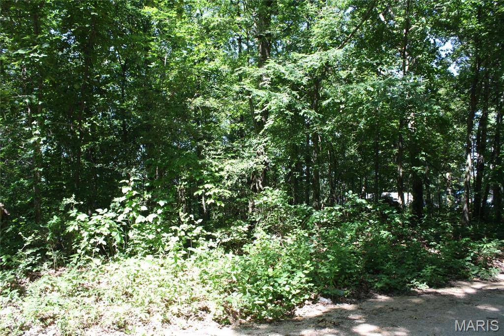 00 Lakview Drive, Wappapello, MO 63966