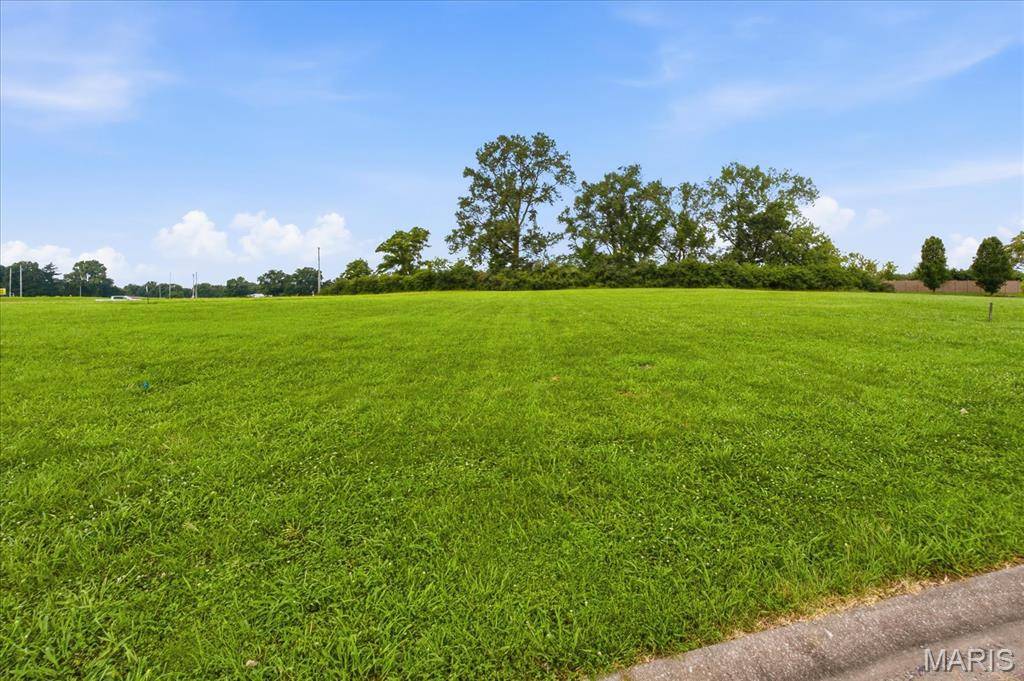 2813 Scenic Lake DR, New Athens, IL 62264