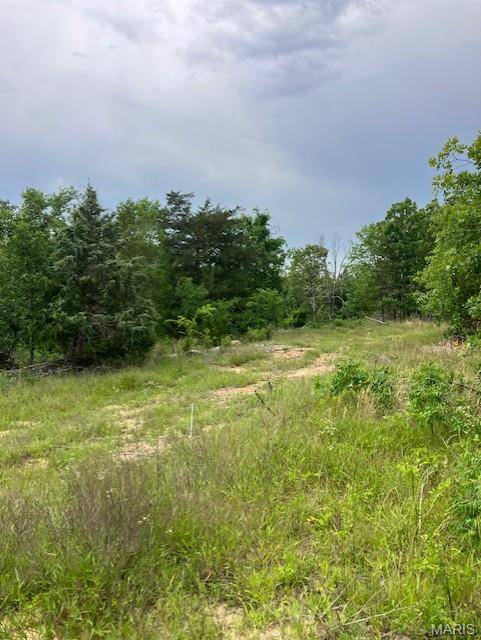 256 Madison CR 410, Fredericktown, MO 63645