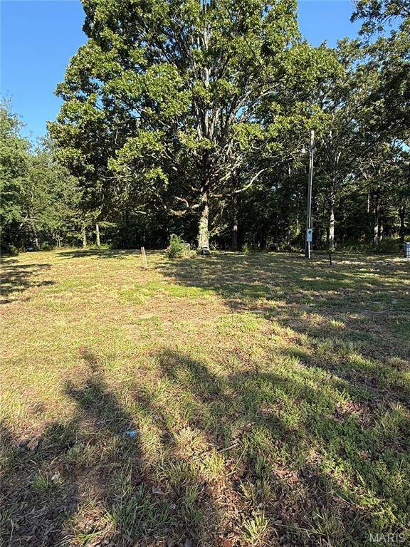 16653 Wayne Highway D, Wappapello, MO 63966