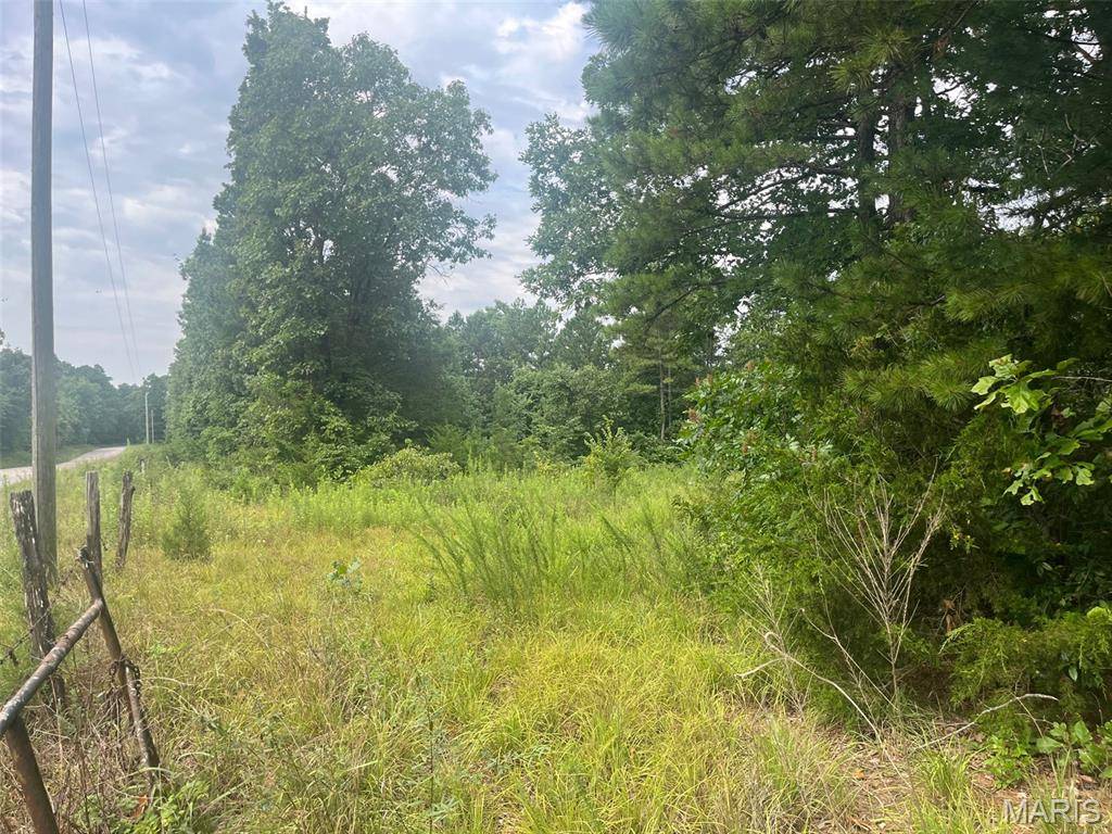 0 Grassy Hollow RD, Potosi, MO 63664