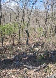 0 Easy ST, De Soto, MO 63020