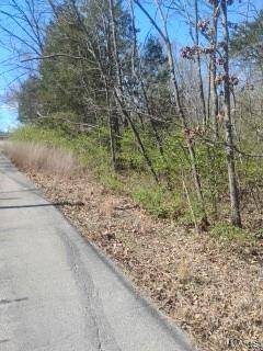 0 Easy ST, De Soto, MO 63020