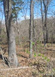 0 Easy ST, De Soto, MO 63020