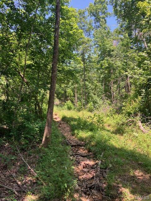 260 Madison CR 410, Fredericktown, MO 63645