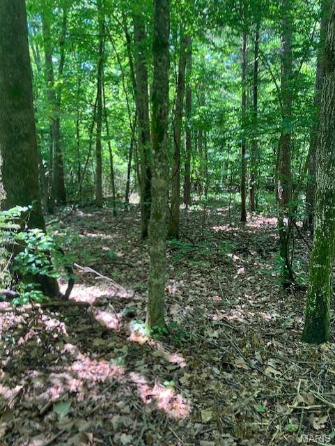 260 Madison CR 410, Fredericktown, MO 63645