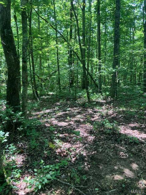 261 Madison CR 410, Fredericktown, MO 63645
