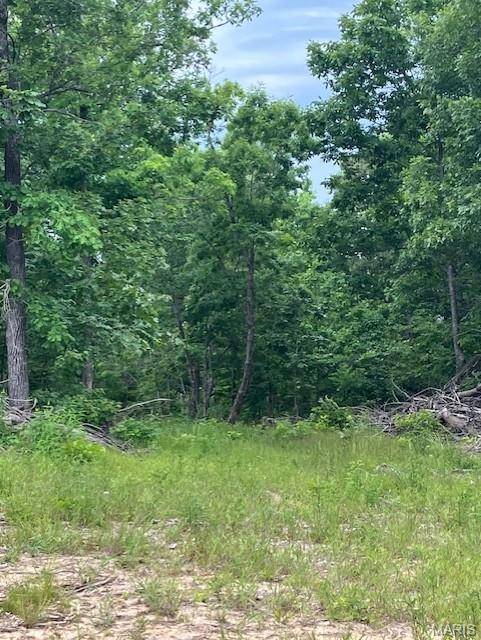 263 Madison CR 410, Fredericktown, MO 63645