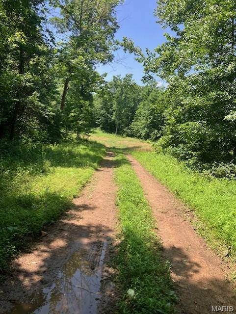 250 Madison CR 410, Fredericktown, MO 63645