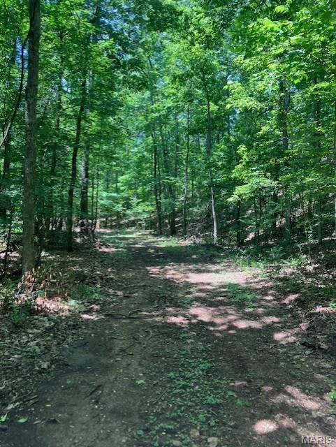 250 Madison CR 410, Fredericktown, MO 63645