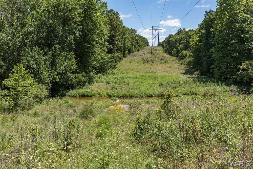 1175 Three Rivers RD, Farmington, MO 63640