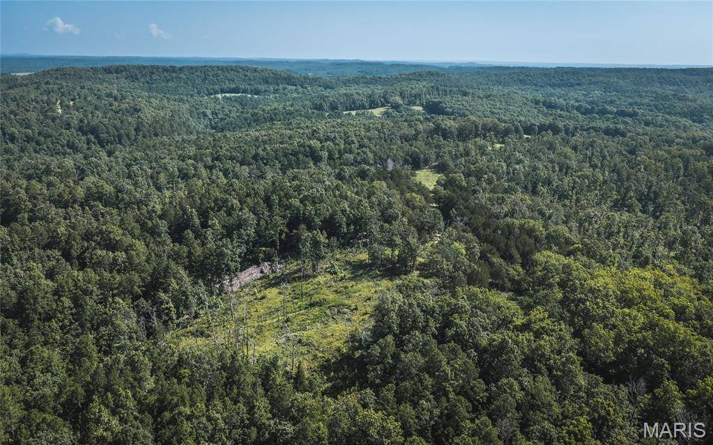 25598 County Road C-228, Norwood, MO 65717