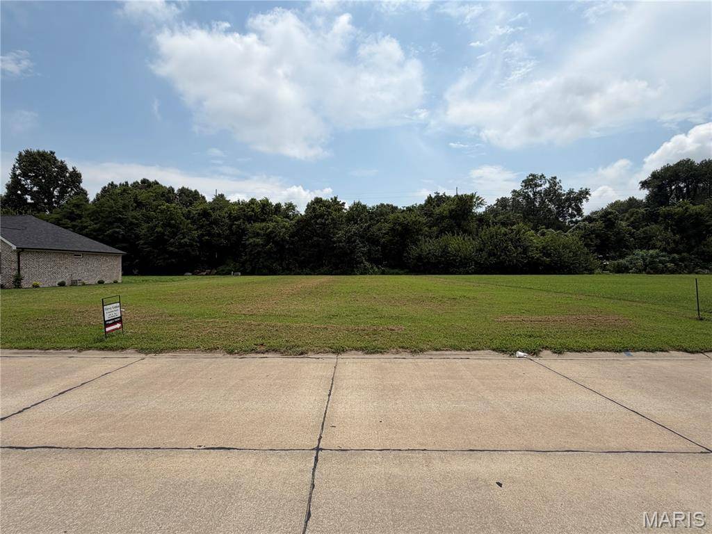 1309 Saint Francis LN, New Madrid, MO 63869
