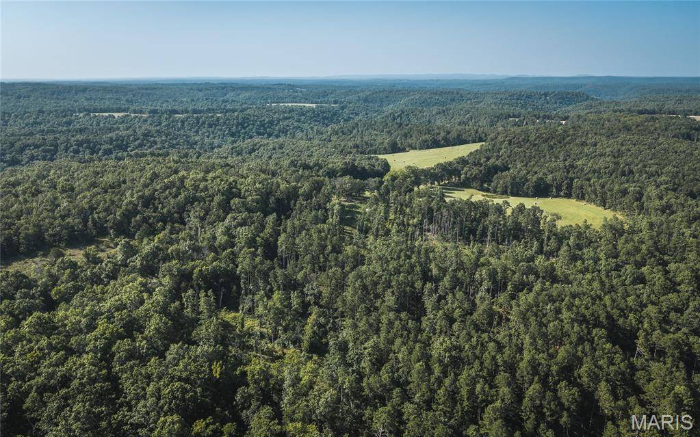 Tract 2 Private Drive 2336, Norwood, MO 65717