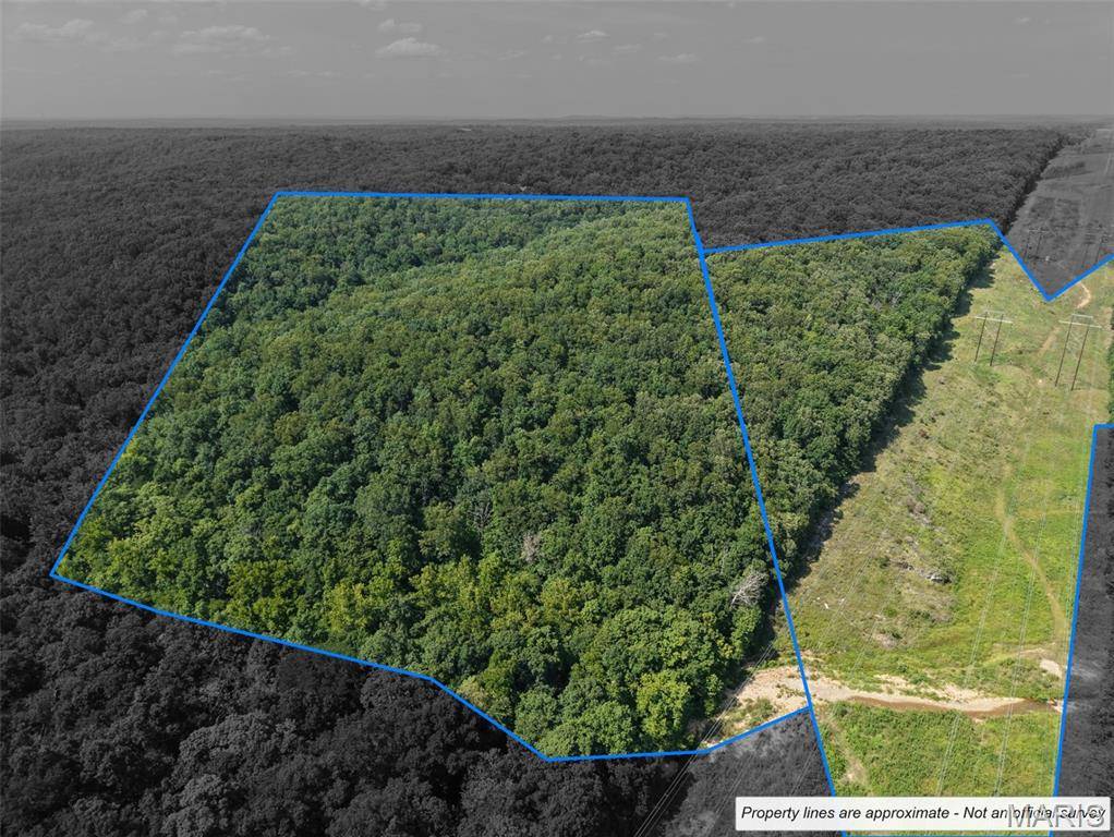 41 Acres Whittaker RD, French Village, MO 63036