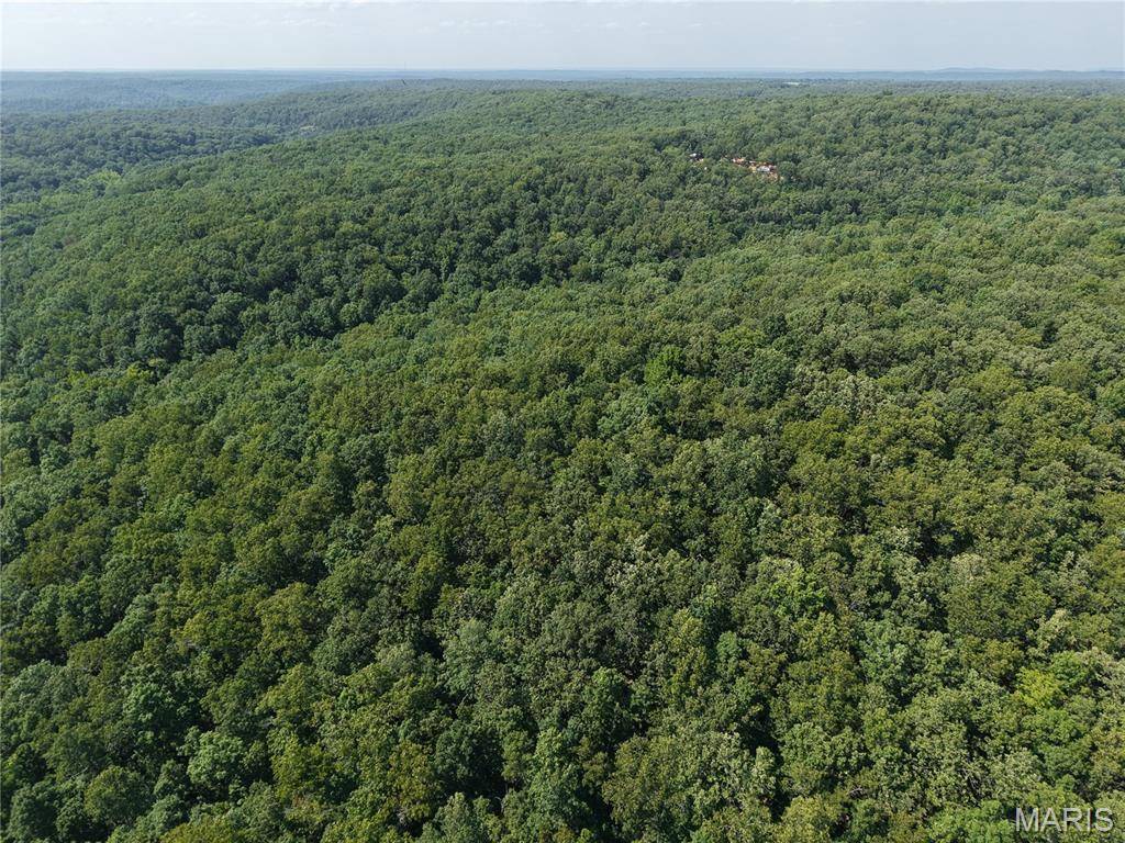 41 Acres Whittaker RD, French Village, MO 63036