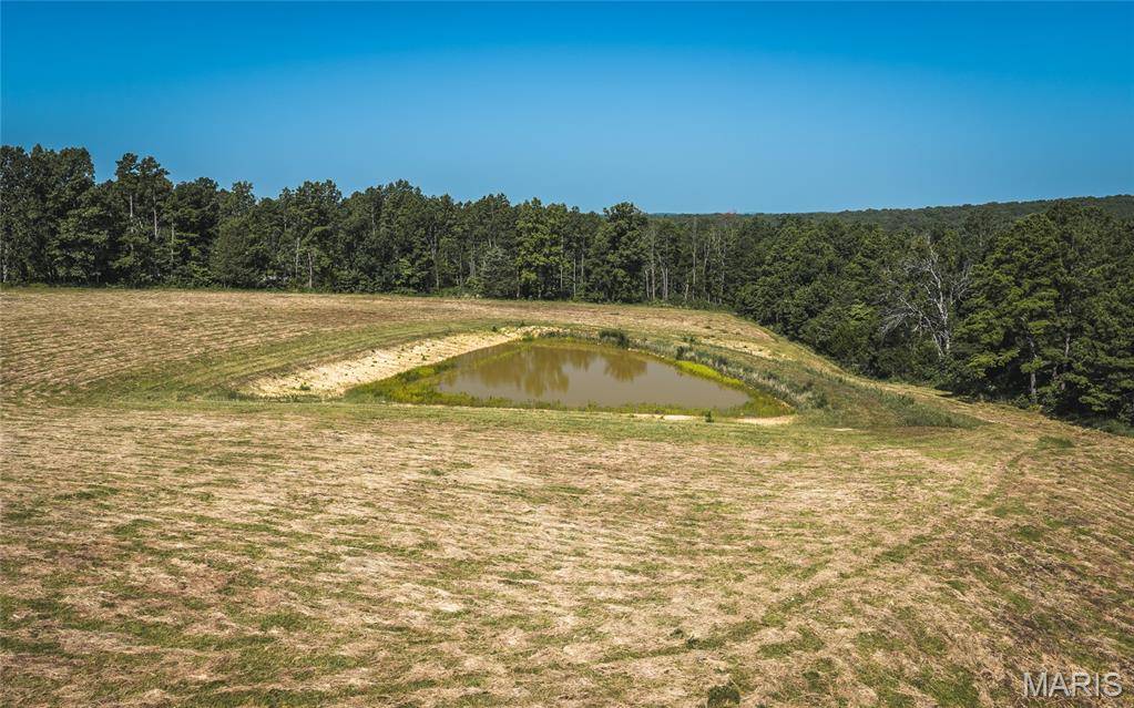 Tract 6 Private Drive 2336, Norwood, MO 65717