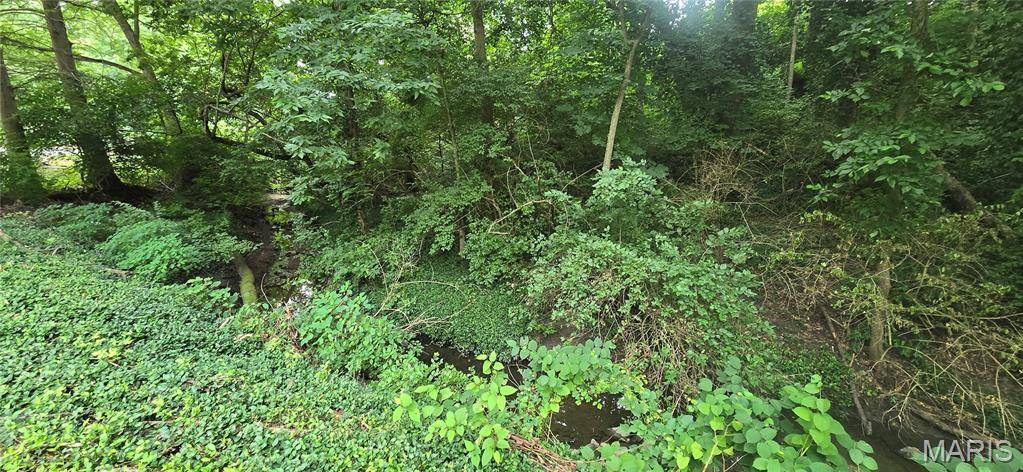 0 Birch DR, Belleville, IL 62223