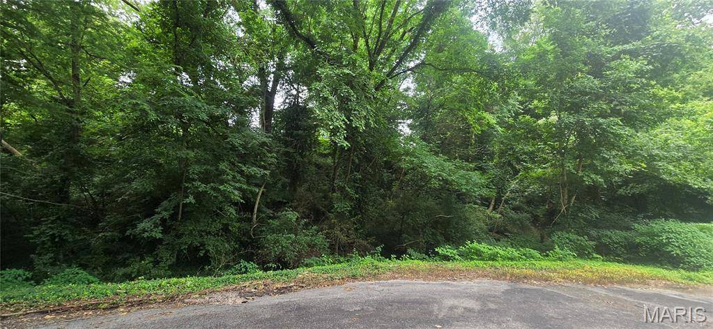 0 Birch DR, Belleville, IL 62223