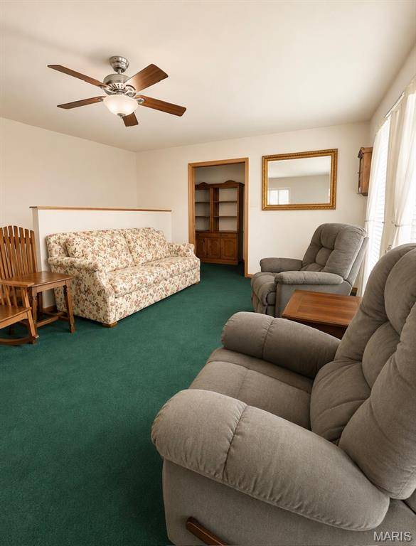3 Fox Drive, Doniphan, MO 63935