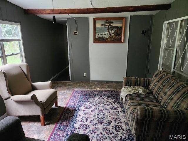 81 Private Road 453-19, Piedmont, MO 63957
