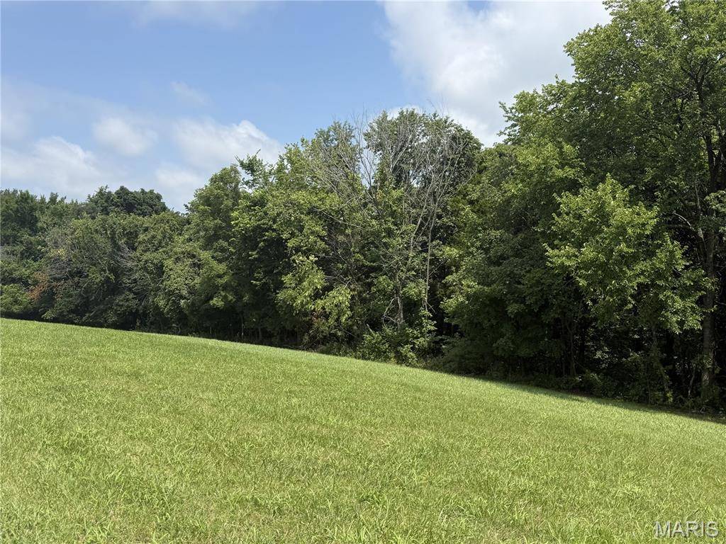 119 Coyote Crest LN, Augusta, MO 63332