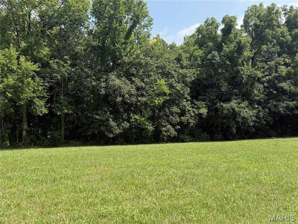 119 Coyote Crest LN, Augusta, MO 63332